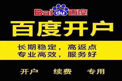 百度推广价格策略：企业成功案例解析